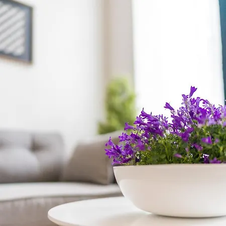 Apartment Grand Place 1 Bedroom Brussels